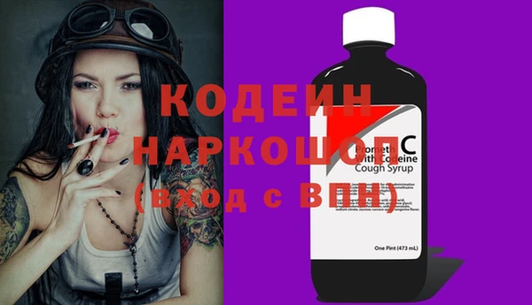 стаф Бородино