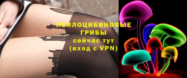 стаф Бородино