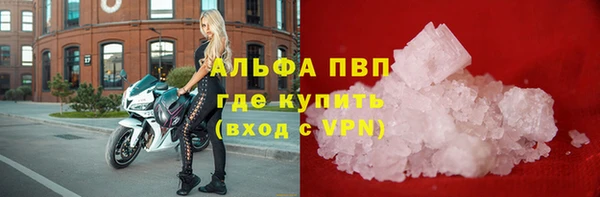 крисы Бугульма