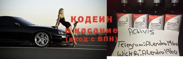 стаф Бородино