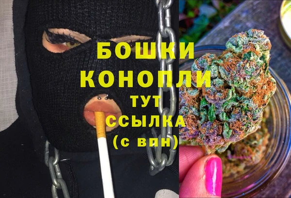 стаф Бородино