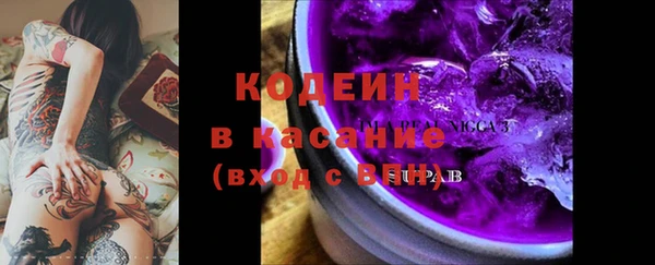 крисы Богородицк