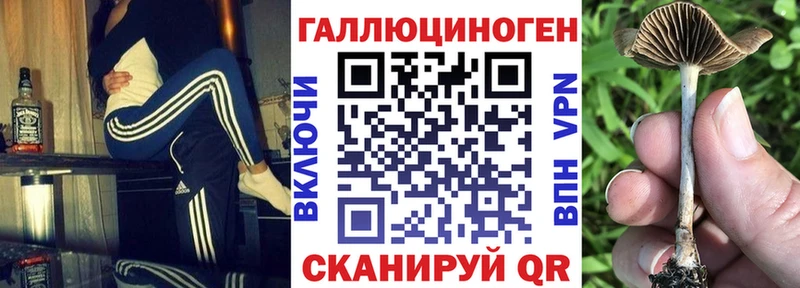 Галлюциногенные грибы GOLDEN TEACHER  Коммунар 